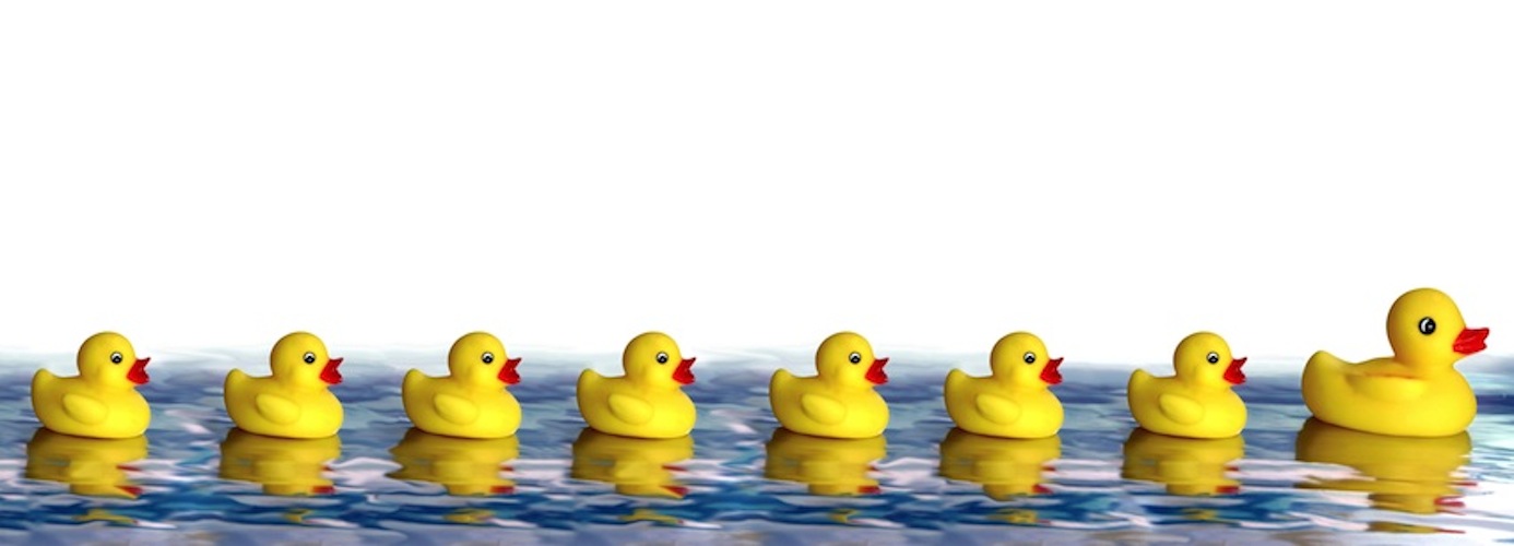 Paddling like crazy in life?